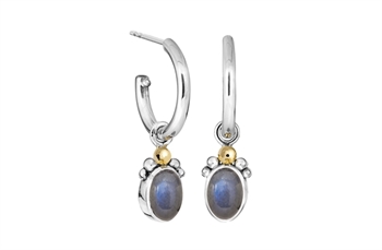 Creol - Golden Shadow